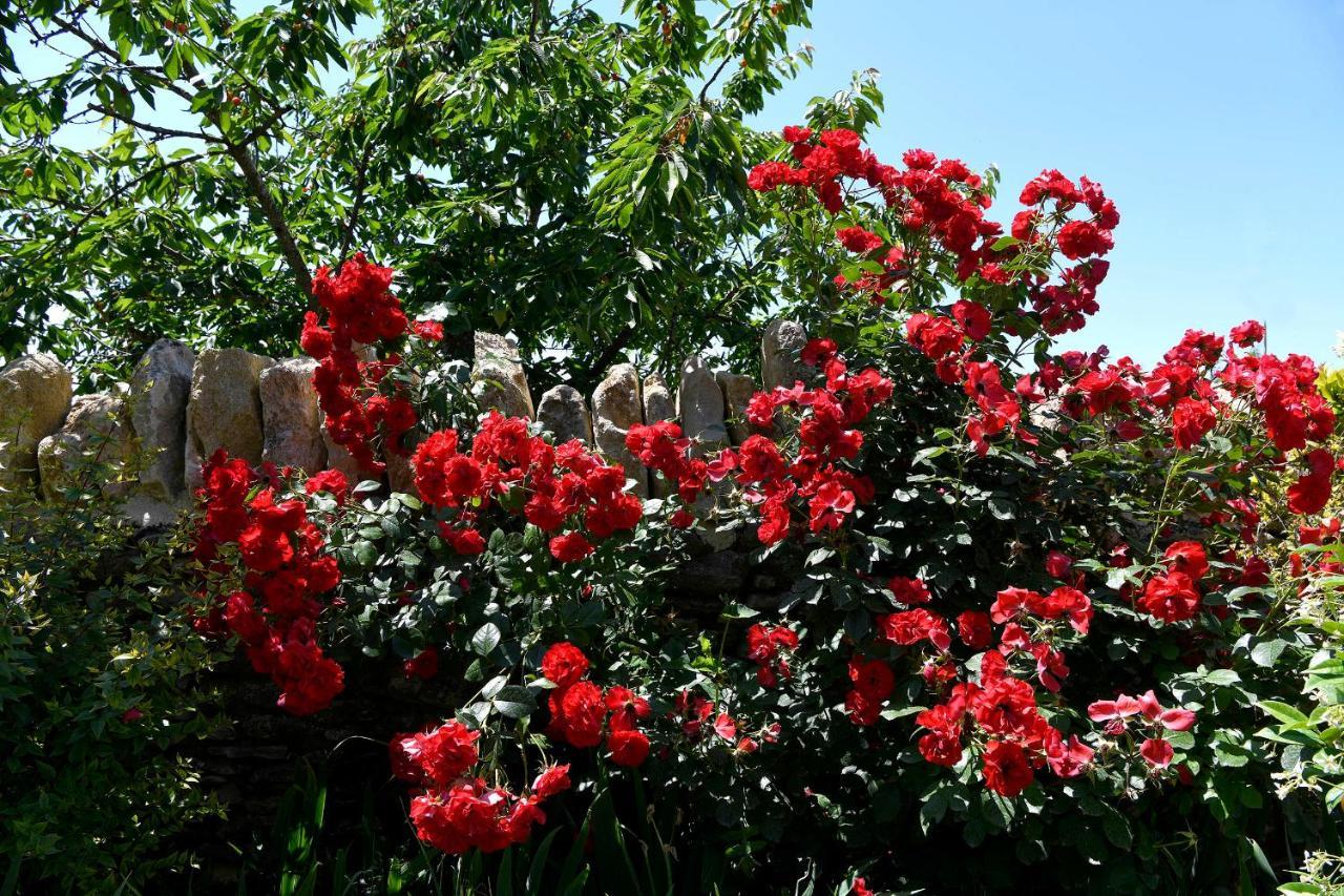 Bastide Des Demoiselles Bed & Breakfast Roussillon  Exterior photo