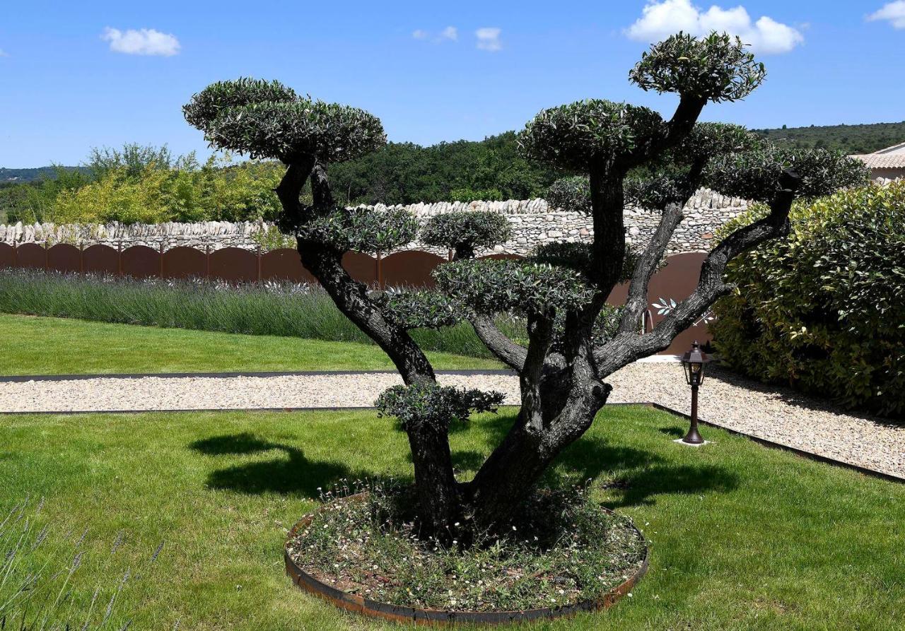 Bastide Des Demoiselles Bed & Breakfast Roussillon  Exterior photo